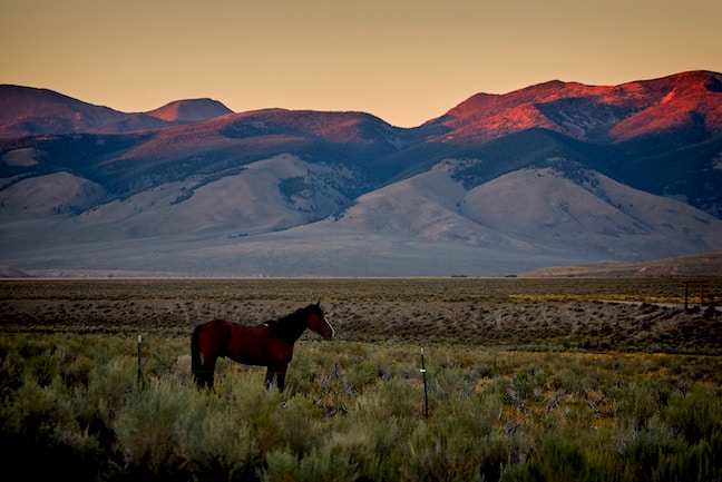 Idaho field