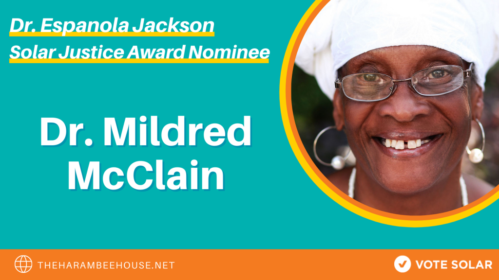 Meet the 2021 Dr. Espanola Jackson Solar Justice Award Nominees Vote