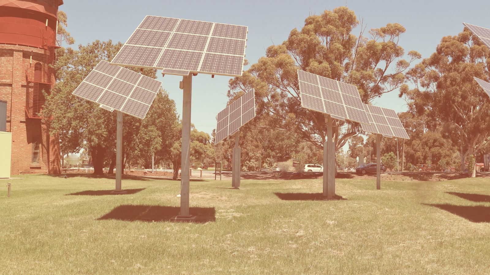 Community solar trees