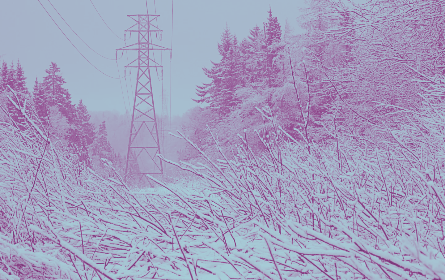 As Extreme Winter Weather Hits, Could America’s Power Grid Face a Perfect Storm?
